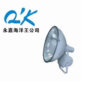 投光灯 防水防尘防震投光灯ZT6900A